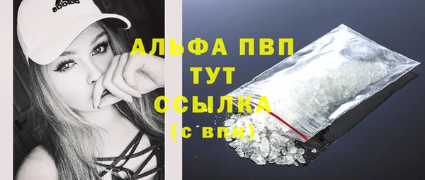 винт Надым