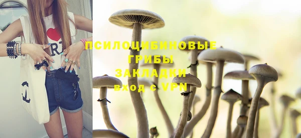 винт Надым