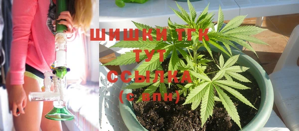 Альфа ПВП Ахтубинск