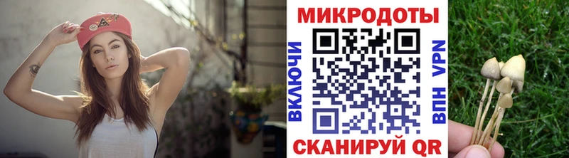 Галлюциногенные грибы прущие грибы  Петровск 