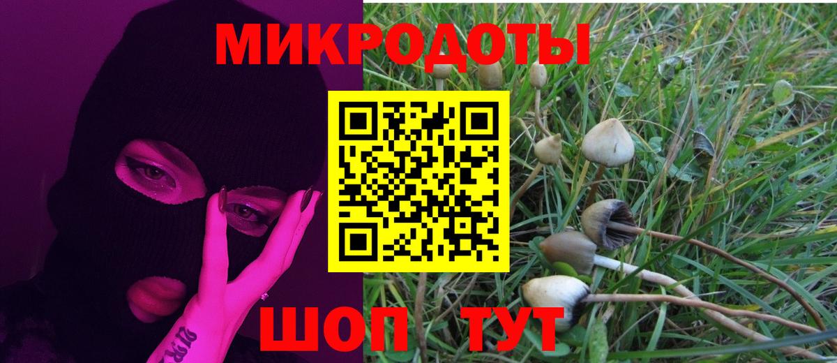 Петровск  Галлюциногенные грибы Cubensis  Вход с VPN 